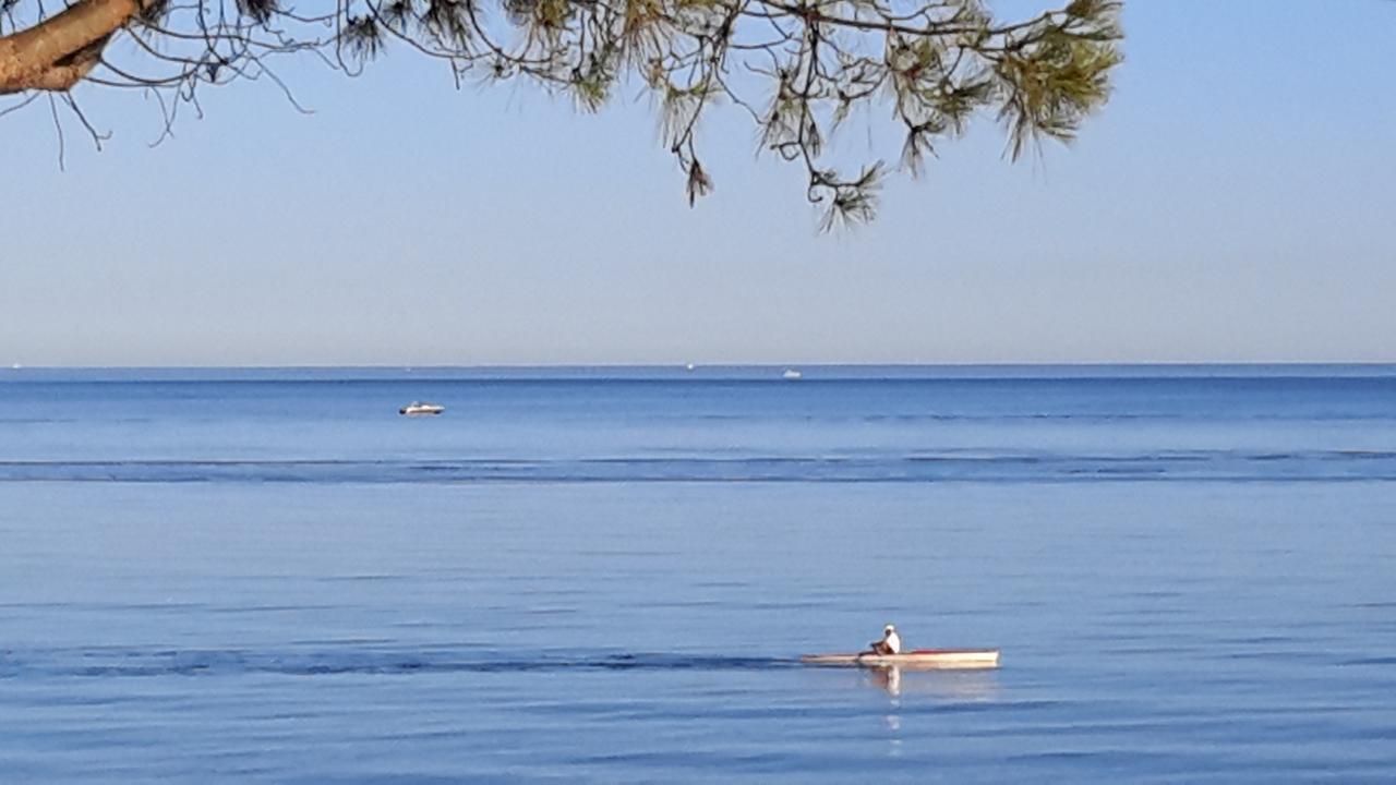 Appart Bleu Azur Saint-Florent  Bagian luar foto